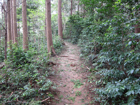 20191017hike (129)